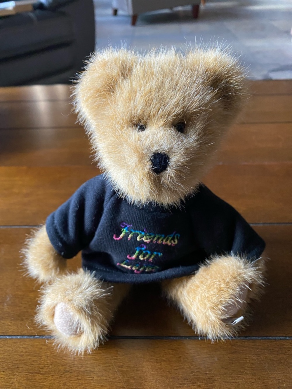 Small “Friends For Life” BOYDS Bear Moveable Head/Arms/Legs